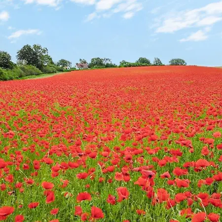 Lejlighed Bernsteinpark